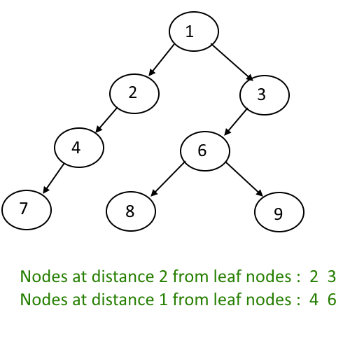 Print All The Nodes Which are X distance from the Leaf Nodes